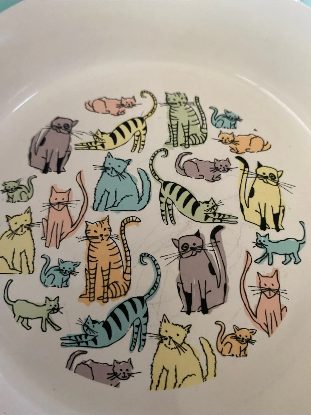 Signature Pastel Multicat Ceramic Serving Bowl